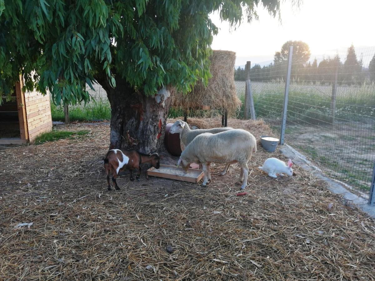 Agriturismo Terralieta Roseto Degli Abruzzi Esterno foto
